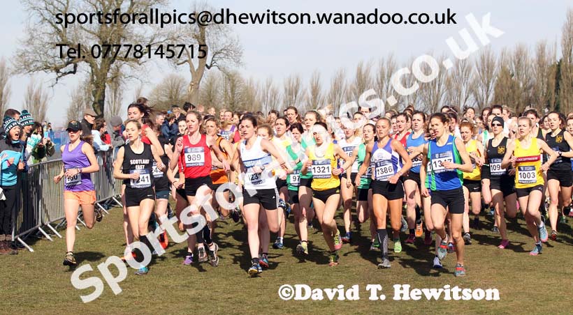Soon after start of the Senior Womens Inter Counties Championships,  Cofton Park, Birmingham. Photo: David T. Hewitson/Sports for All Pics